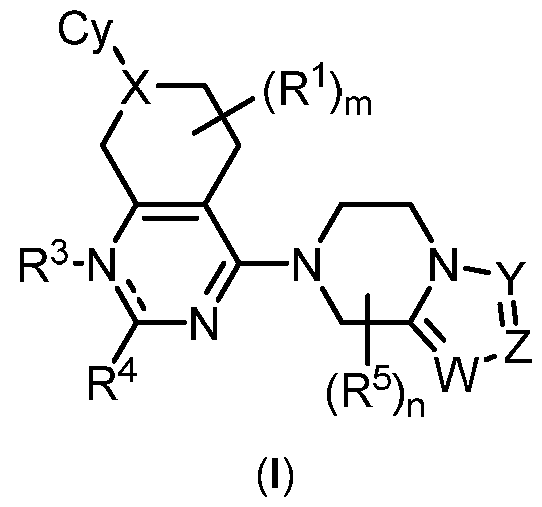 Figure imgf000003_0001