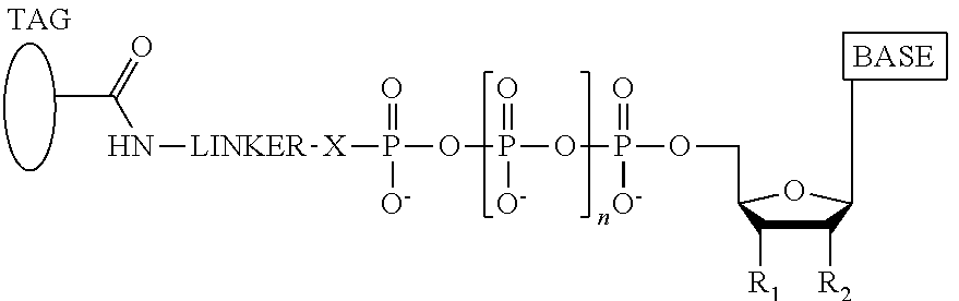 Figure US12173366-20241224-C00072