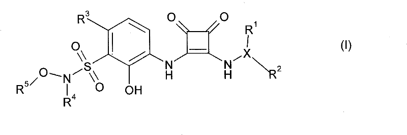 Figure DDA0000053622200000011