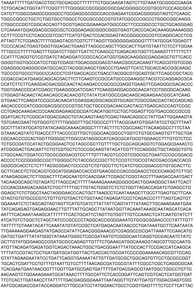 Figure BDA0003755608120001211