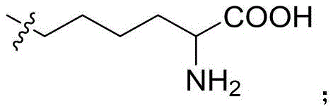 Figure FDA0003850165570000027