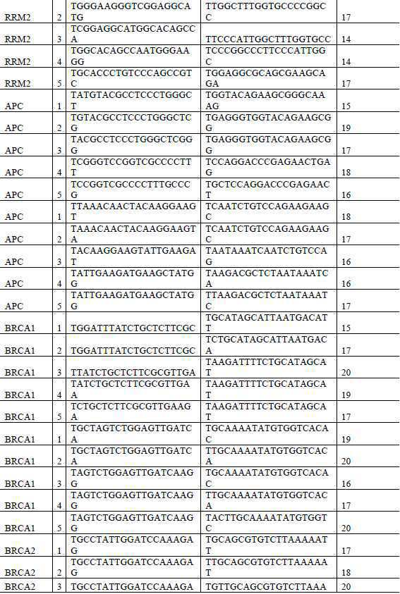 Figure 112020056955871-pat00013