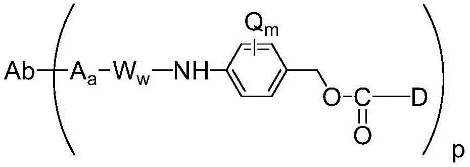 Figure BDA0001315385070000671