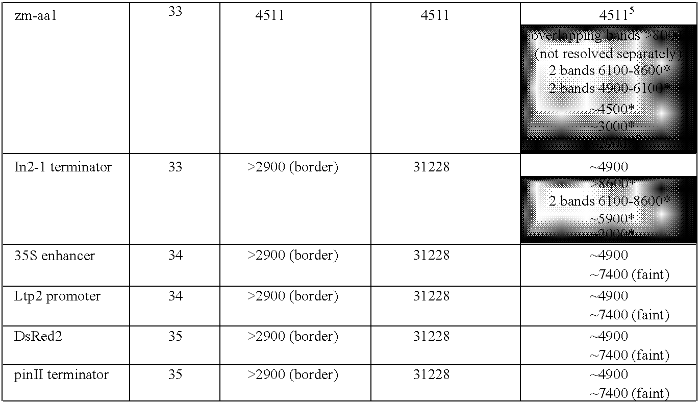Figure US20090210970A1-20090820-C00012