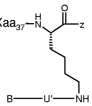 Figure imgf000059_0003