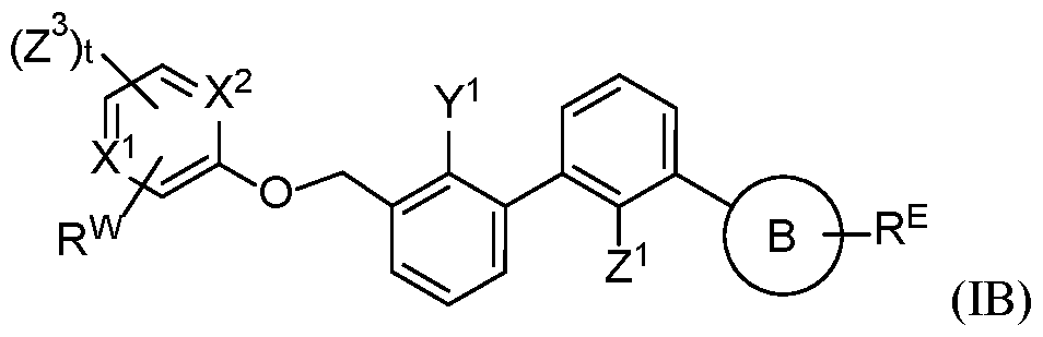 Figure imgf000031_0004