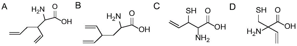 Figure FDA0002317786880000022