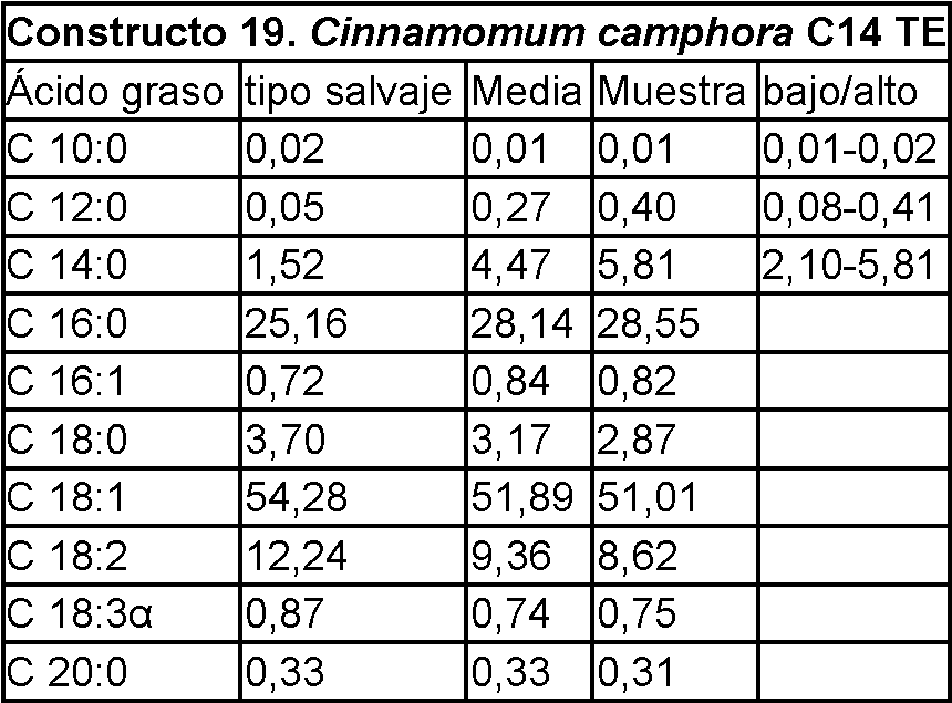 Figure imgf000072_0001