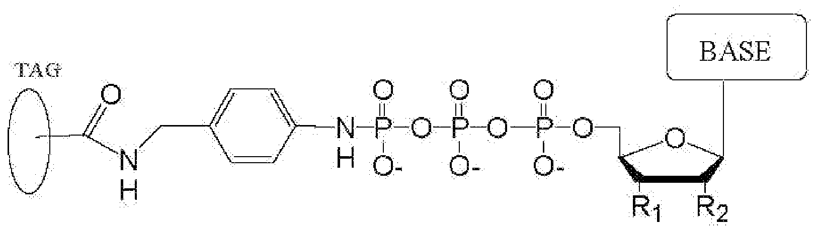 Figure imgf000065_0001
