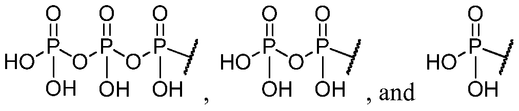 Figure imgf000028_0003