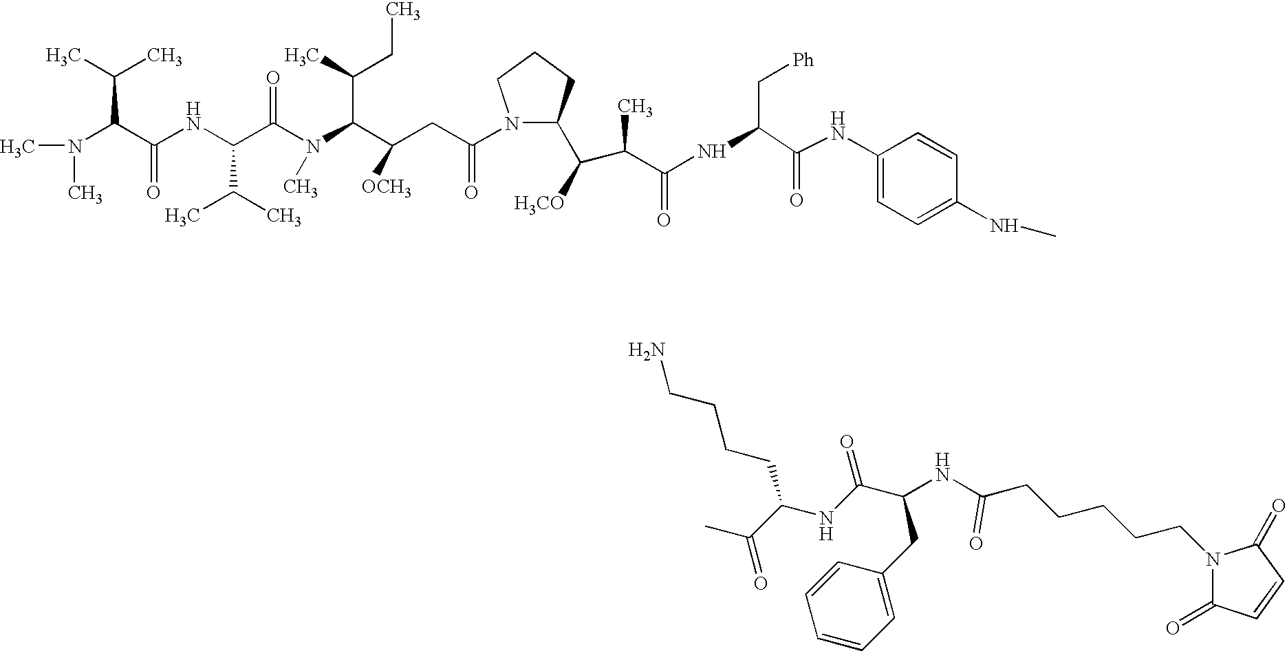 Figure US20050123536A1-20050609-C00031