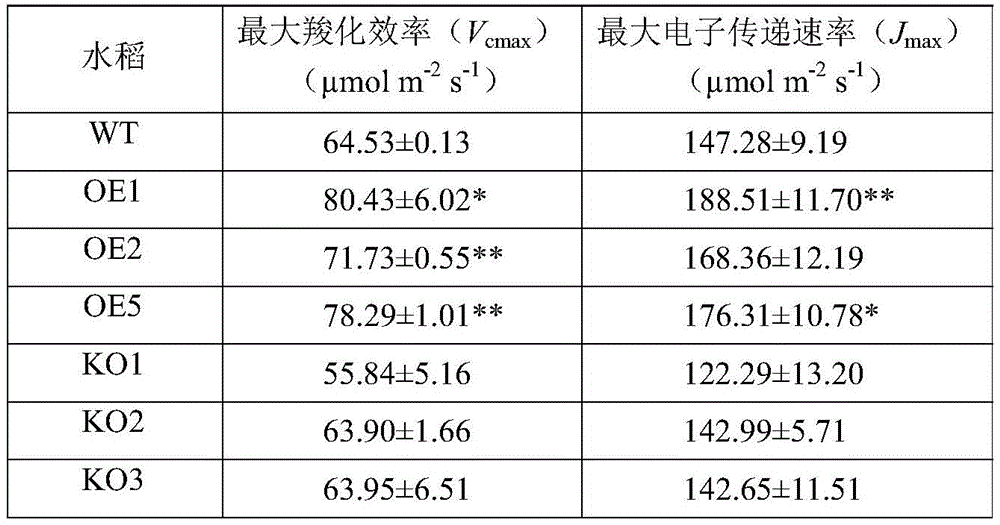 Figure BDA0003140964440000151
