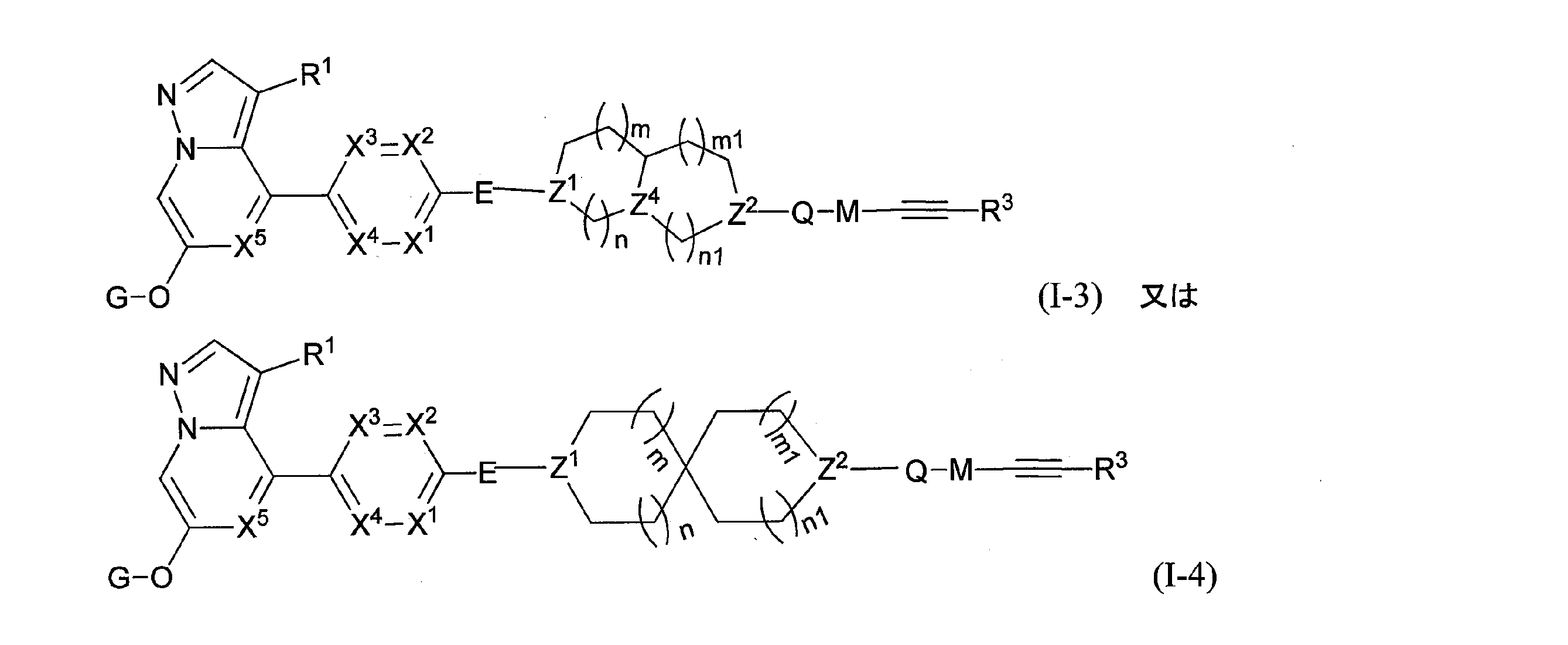 Figure 0007457708000013