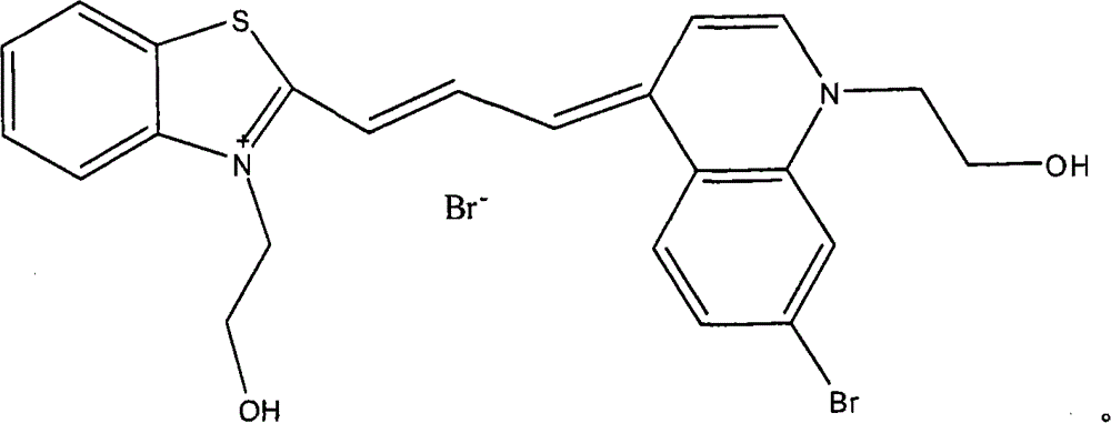 Figure S2008100678156D00072