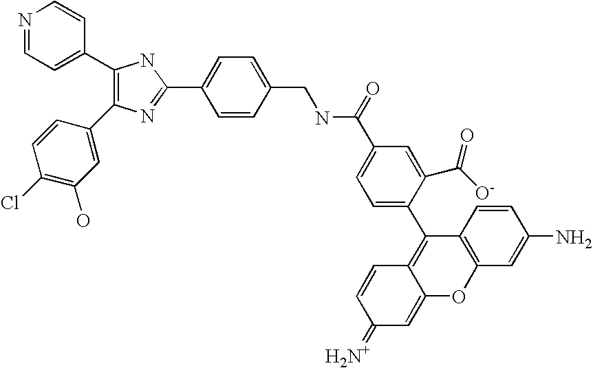 Figure US20090156597A1-20090618-C00306