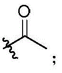 Figure FDA0002921022130000082