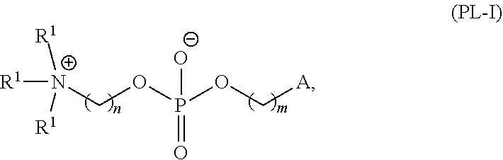 Figure US20250214046A1-20250703-C00080