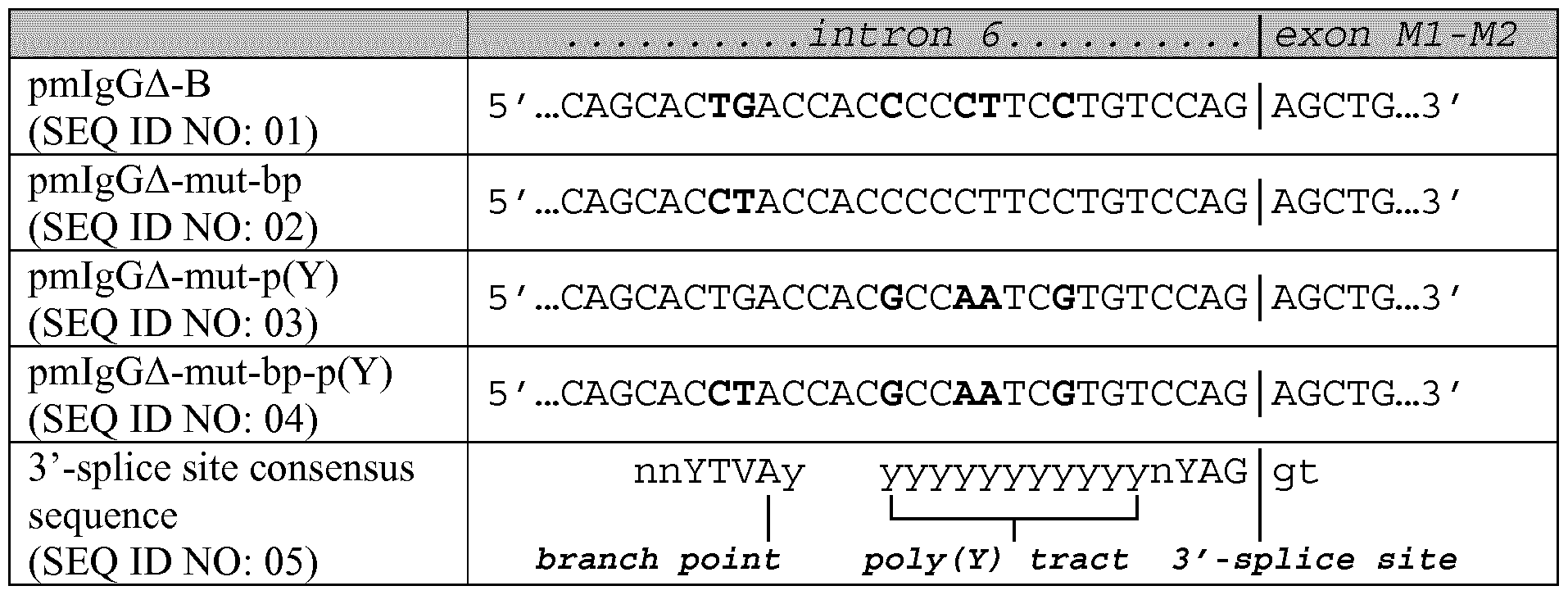 Figure imgf000037_0001