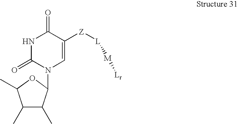 Figure US20040053290A1-20040318-C00025