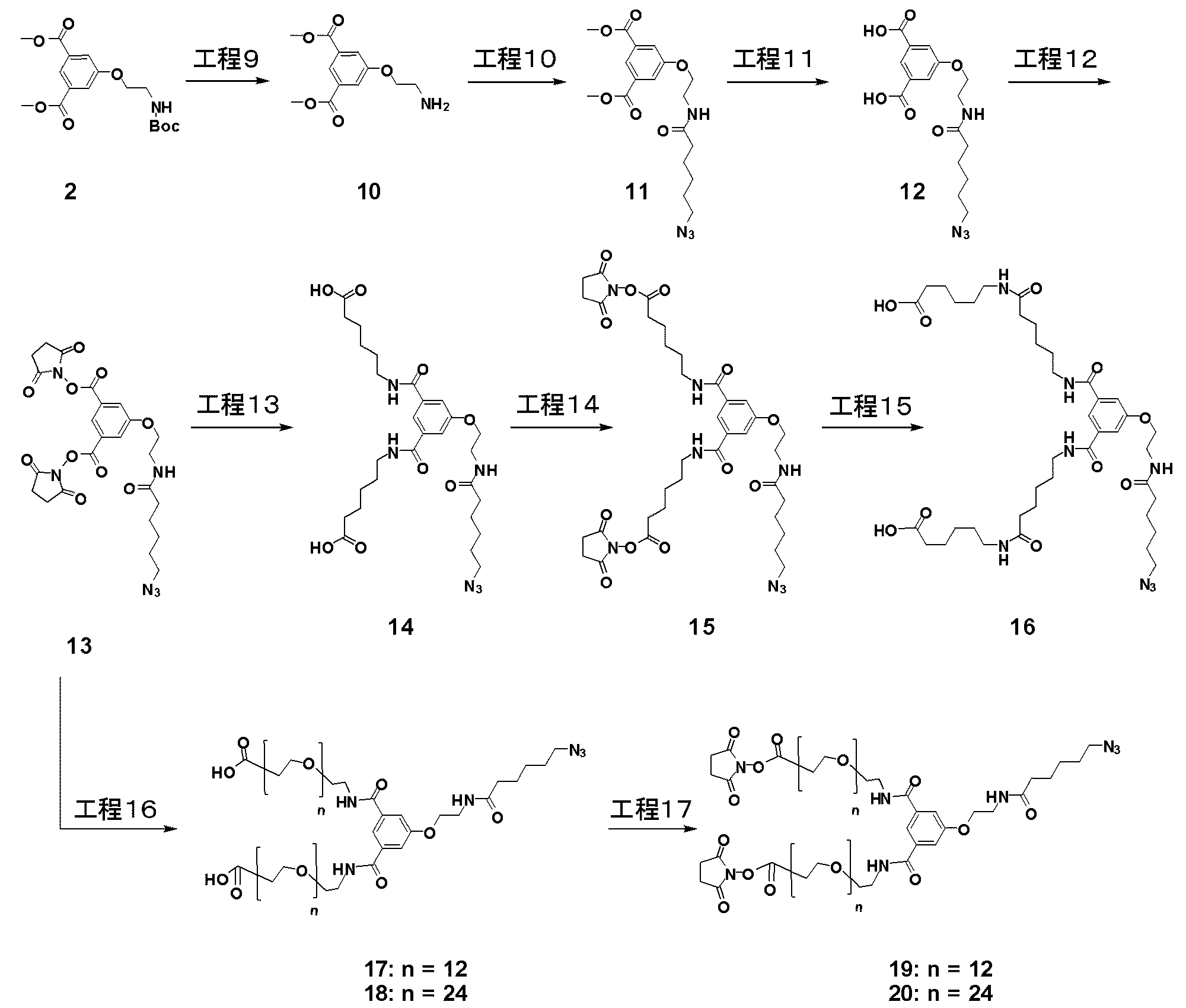 Figure 0007022687000116