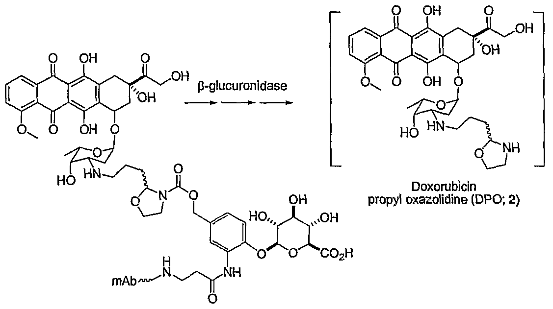 Figure imgf000065_0003