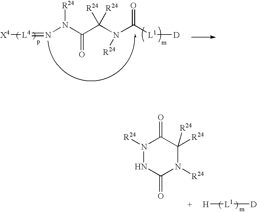 Figure US20060024317A1-20060202-C00040
