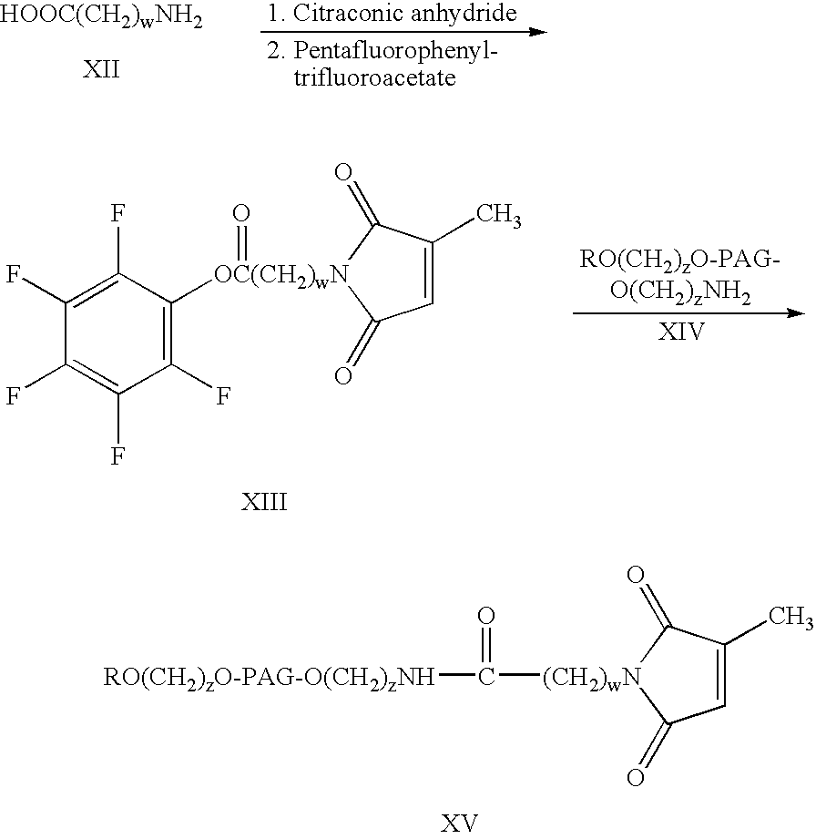 Figure US20070141021A1-20070621-C00018