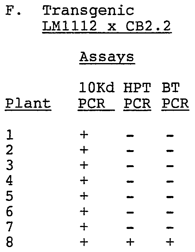 Figure imgf000064_0001
