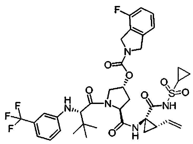 Figure 112009076339753-PCT00069