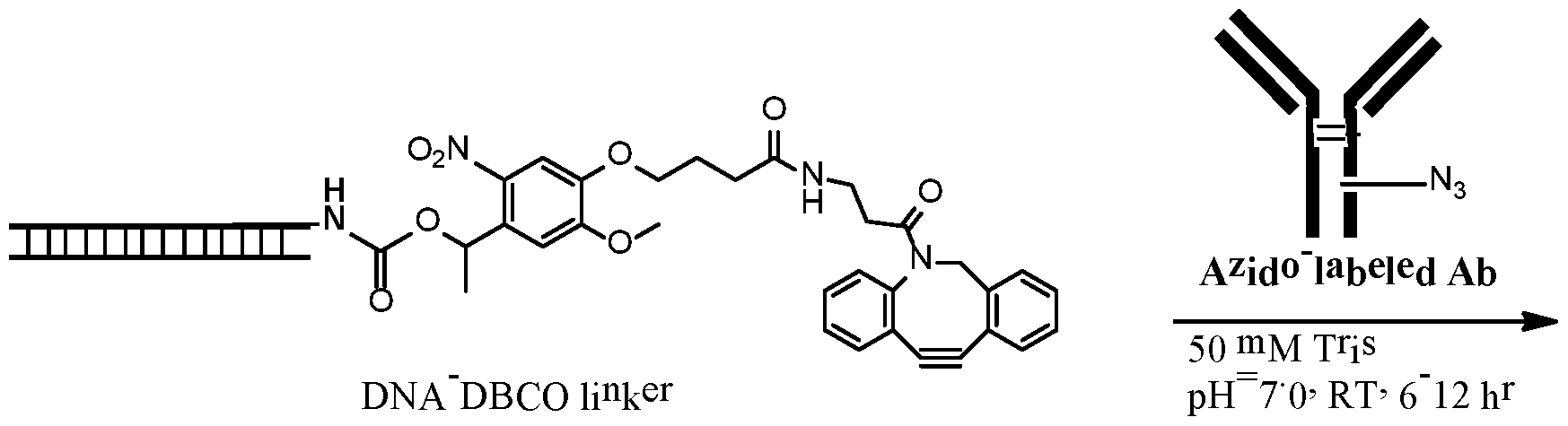 Figure imgf000163_0002