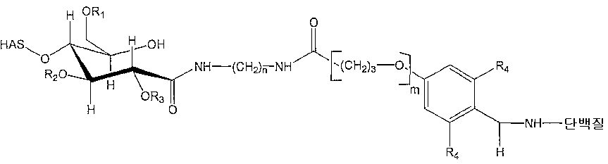 Figure 112006072682432-PCT00066