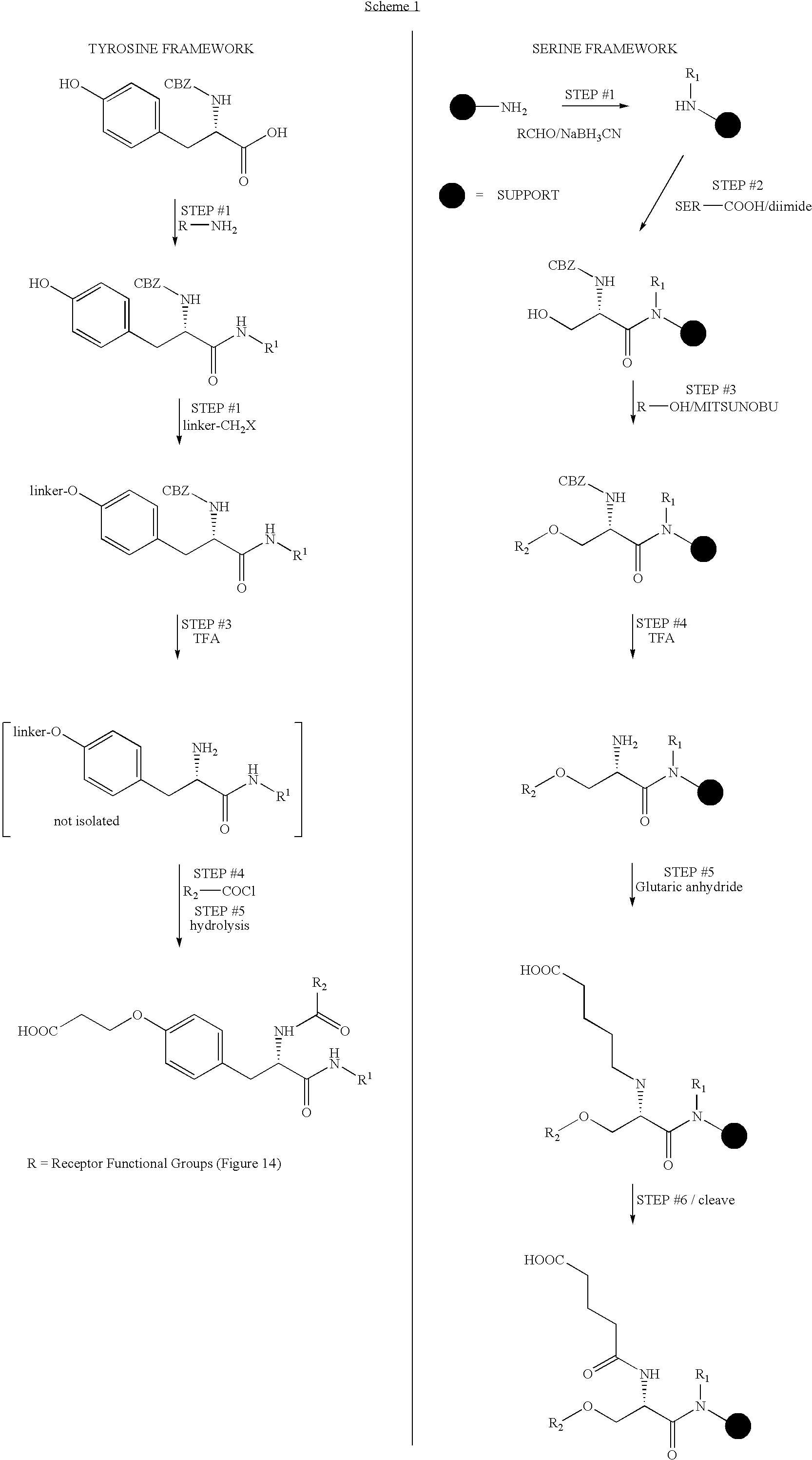 Figure US20050037429A1-20050217-C00004