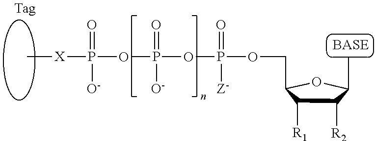 Figure US12173366-20241224-C00054