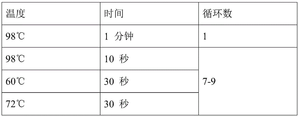 Figure BDA0002462439120000202