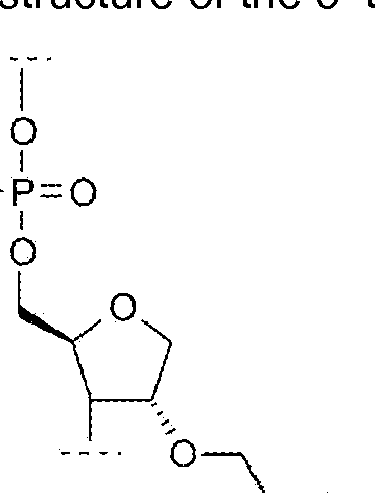 Figure imgf000049_0001