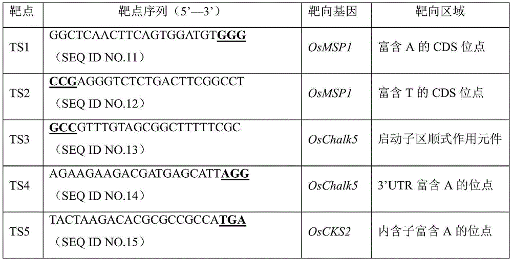 Figure BDA0003740674620000151