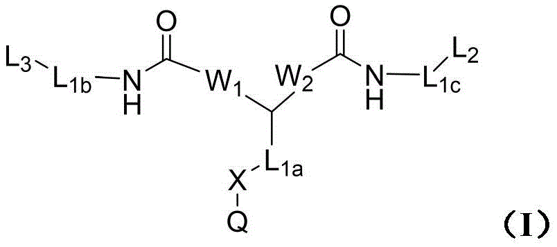 Figure BDA0003850165580000021