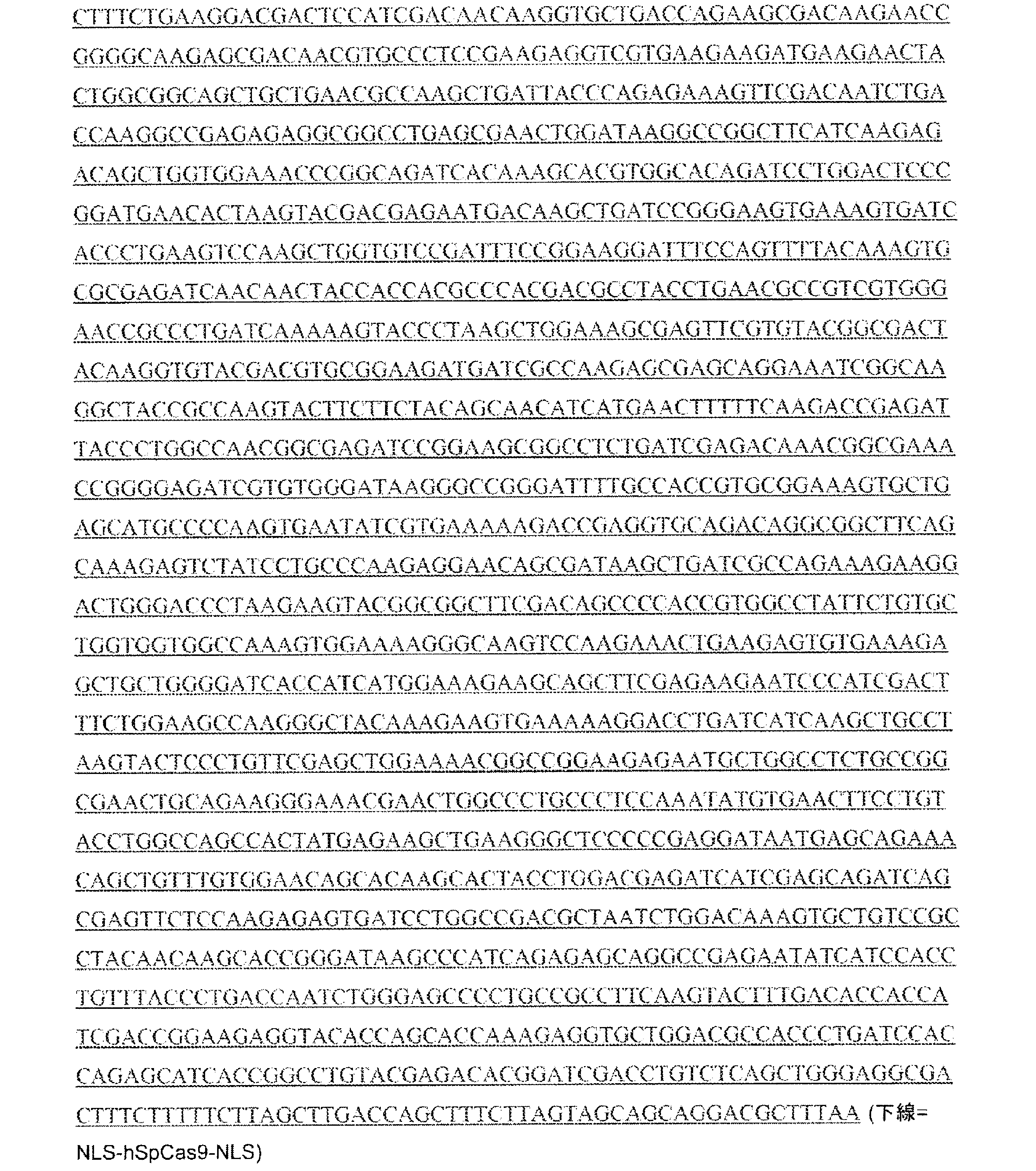 Figure 0007542681000043