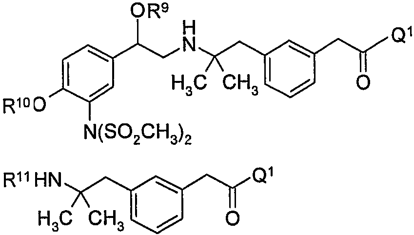 Figure 112008003947162-PCT00125
