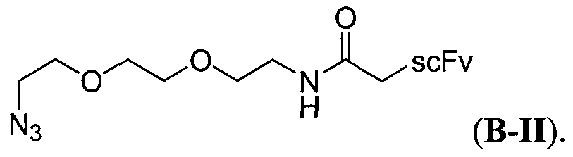 Figure imgf000012_0002