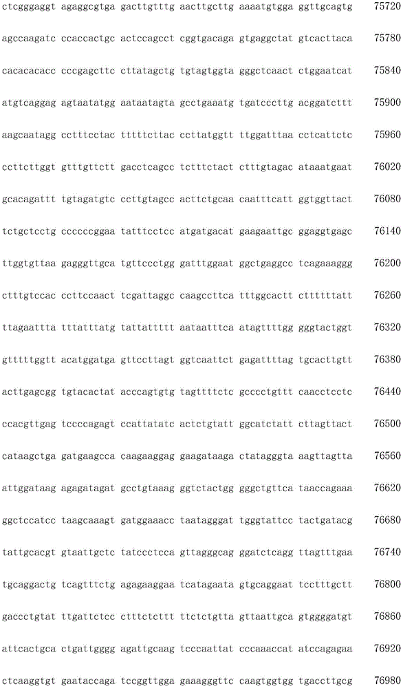 Figure IDA0003936212790000771