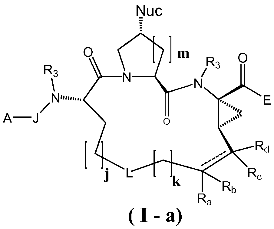 Figure imgf000116_0001