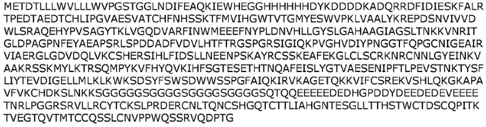 Figure BDA0003169474240000651