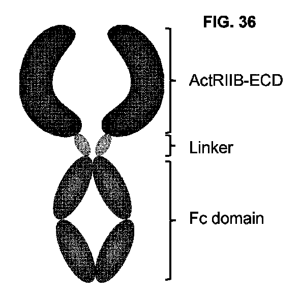 Figure 2025504945000001