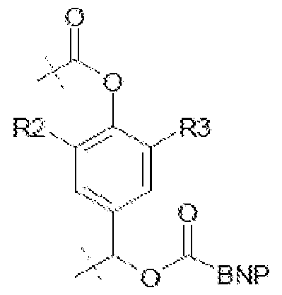Figure imgf000031_0003