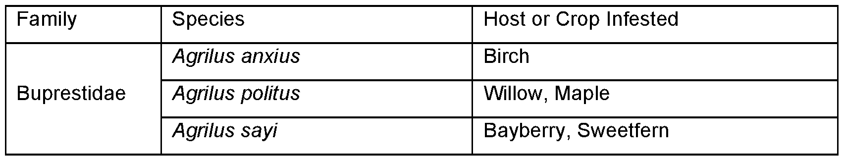 Figure imgf000050_0002