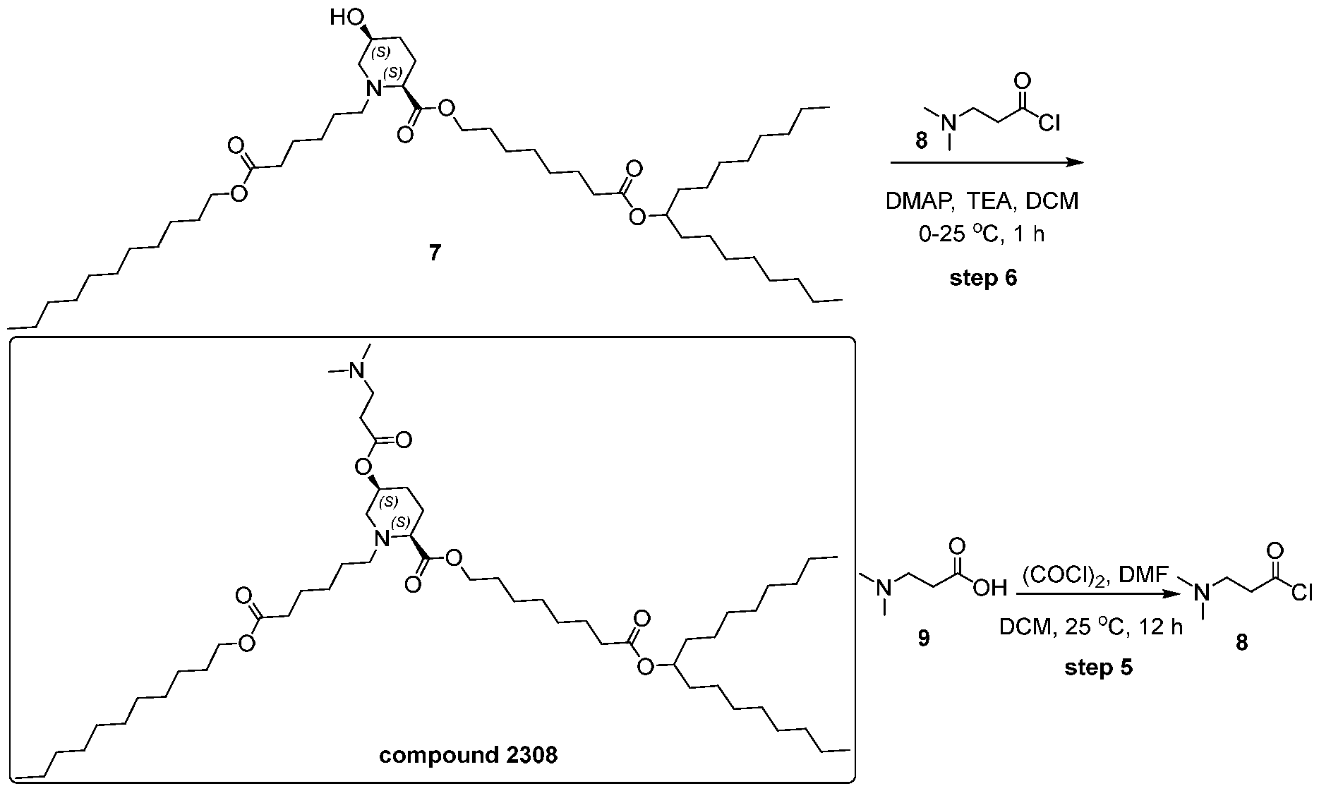 Figure imgf000167_0001