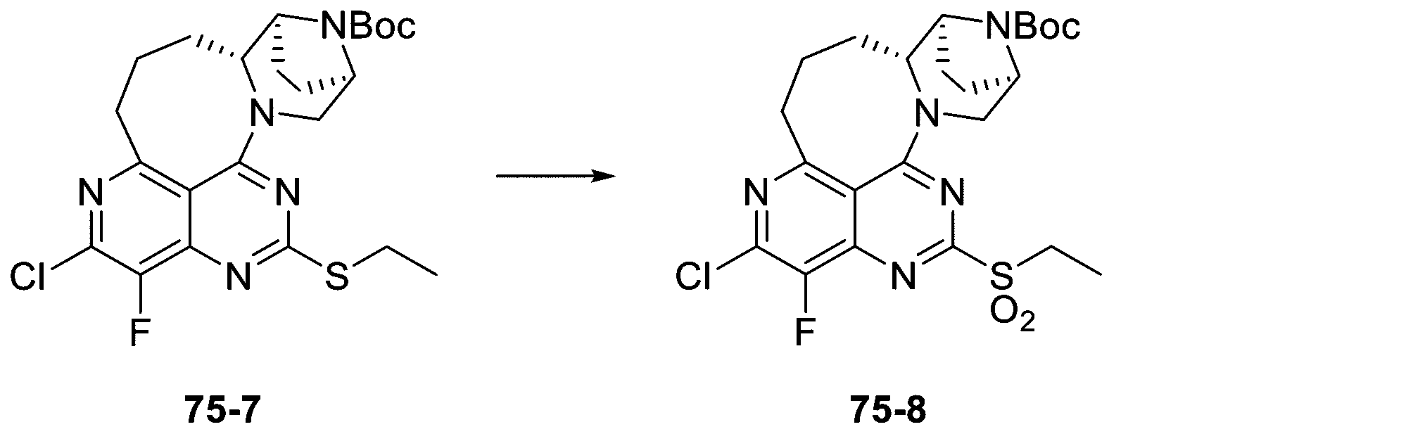 Figure 2025513258000280