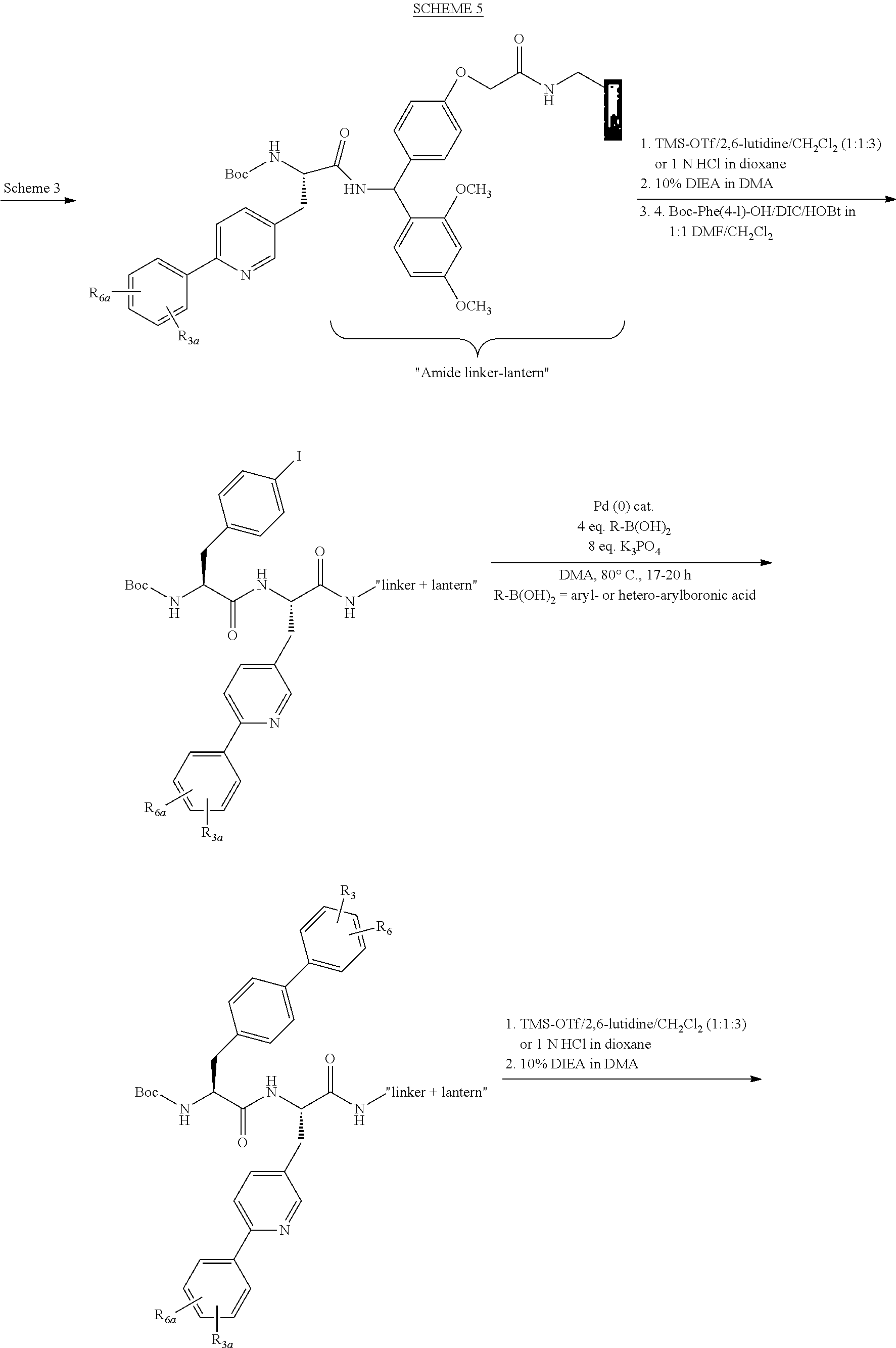Figure US20100022457A1-20100128-C00029