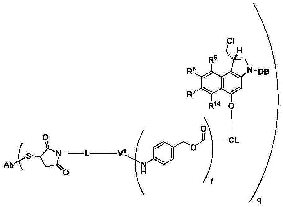 Figure GDA0002483706190001922